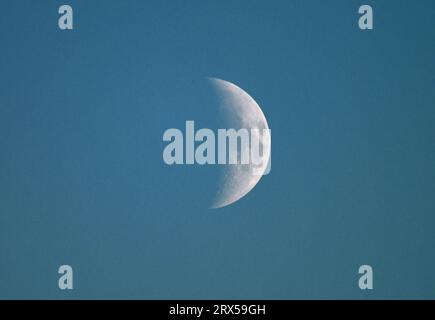 Berlino, Germania. 21 settembre 2023. La mezza luna è nel cielo sopra la città. Credito: Soeren Stache/dpa/Alamy Live News Foto Stock