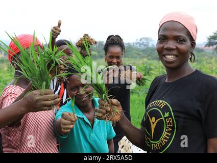 Abuja, 19 settembre. 6 dicembre 2022. I dipendenti locali espongono piante di riso al Nigerian Agricultural Technology Demonstration Center di Abuja, Nigeria, 19 settembre 2023. Il Centro dimostrativo di tecnologia agricola nigeriana, assistito dalla Cina, si trova nel CGCOC Agriculture Abuja High-tech Industrial Park di Abuja. La costruzione del progetto è iniziata nel marzo 2021 e completata nel settembre 2022. La Cina ha consegnato il progetto alla Nigeria il 6 dicembre 2022. Crediti: Dong Jianghui/Xinhua/Alamy Live News Foto Stock