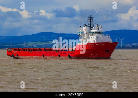 Sar Brage diretto al porto Foto Stock