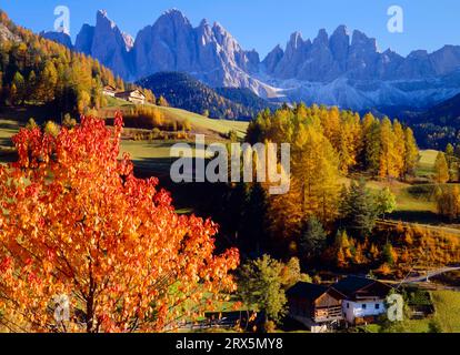 Guarda in autunno il Villnoesstal, a proposito dei punti Geisler e delle torri Fermeda. I Italia, le Dolomiti, alto Adige, guardate in autunno sul Foto Stock