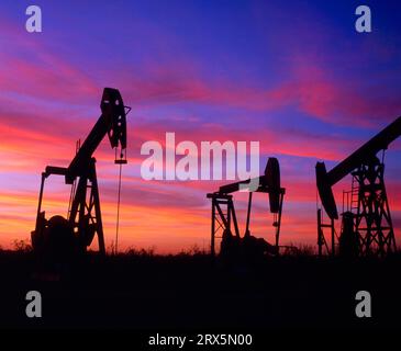 Produzione di petrolio greggio, prevenzione, pompa profonda, tramonto, crepuscolo, benstimmung, romanticismo industriale, guida alla testa dei cavalli, pompa dell'olio nei campi petroliferi del Texas Foto Stock