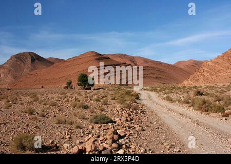 Una strada sterrata conduce lungo An oued nei pressi di Ait Herbil nell'Anti-Atlante, in Marocco Foto Stock