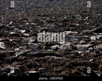 Terreno appena arato, acri, agricoltura in campagna, chiodi di terreno arabile Foto Stock