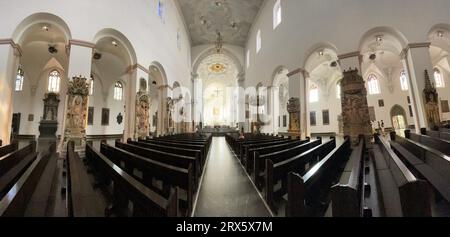 Interno con altare, panorama, St Kilian's Cathedral, St. Cattedrale di Kilian, Wuerzburg, Franconia, Baviera, Germania Foto Stock