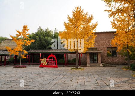 Bellissimi alberi di Ginkgo nel Museo etnico cinese Foto Stock