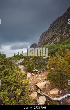 Sentiero escursionistico di Cradle Mountain, catturato in una giornata di sole, situato in Tasmania, Australia Foto Stock