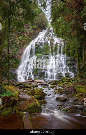 Splendide cascate Nelson situate nel parco nazionale Franklin-Gordon Wild Rivers, Tasmania, Australia Foto Stock