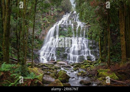 Una lunga cattura delle bellissime cascate Nelson situate in Tasmania, Australia Foto Stock