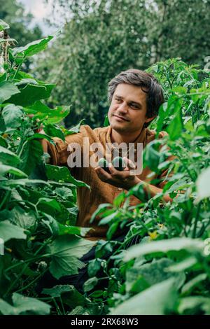 Un uomo sorridente che strappa cetriolo dall'orto Foto Stock