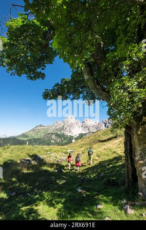 Austria, Salzburger Land, donne escursioniste nei monti Dachstein Foto Stock