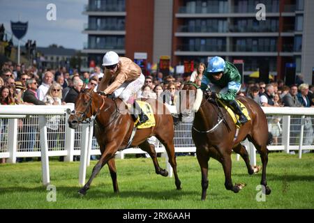 Newbury, Regno Unito. 23 settembre 2023. Thunderbear (berretto blu), guidato da Sean Levey, vince il Dubai International Airport World Trophy Stakes 13,30 davanti a Nymphadora, guidato da Oisin Murphy all'ippodromo di Newbury, Regno Unito. Crediti: Paul Blake/Alamy Live News. Foto Stock