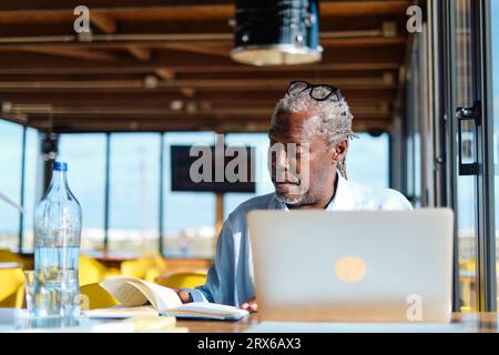 Ingegnere senior che lavora al tavolo con diario e laptop nel ristorante Foto Stock