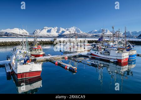 Norvegia, Troms og Finnmark, Oldervik, Marina in un isolato villaggio di pescatori Foto Stock