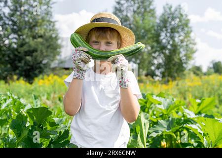 Ragazzo che indossa un cappello che regge le zucchine in giardino Foto Stock