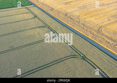 Germania, Sassonia-Anhalt, vista aerea della strada di campagna che taglia i campi di Harz Foto Stock