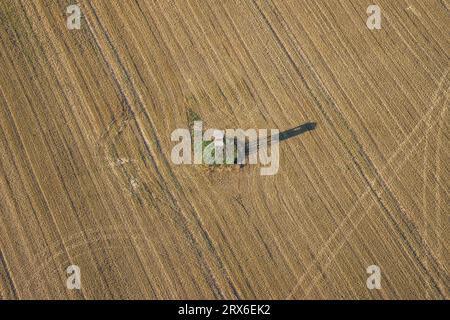 Germania, Sassonia-Anhalt, vista aerea di alta sella in mezzo al campo Foto Stock