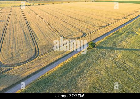 Germania, Sassonia-Anhalt, vista aerea della strada di campagna che taglia i campi di Harz Foto Stock