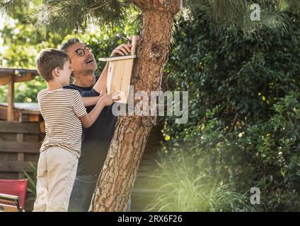 Nonno e nipote che regolano la casa degli uccelli sull'albero Foto Stock
