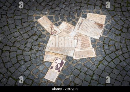 White Rose Memorial - opuscoli della resistenza anti-nazista a Geschwister-Scholl-Platz (piazza dei fratelli Scholl) - Monaco, Baviera, Germania Foto Stock