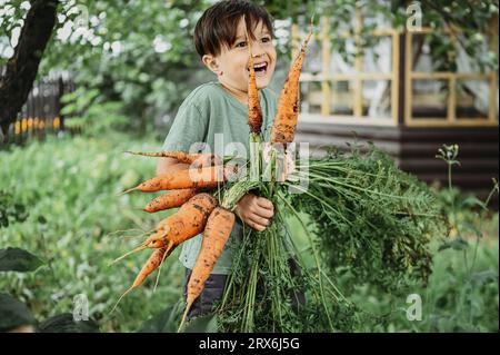 Ragazzo sorridente che tiene un mazzo di carote in giardino Foto Stock