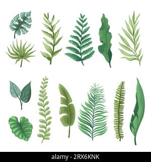 Foglie tropicali, felce e piante di banana Illustrazione Vettoriale