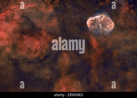 Nebulosa Crescent (Caldwell 27) nella costellazione del Cigno Foto Stock