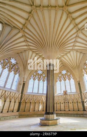 Il magnifico e storico soffitto a volta della Chapter House nella cattedrale di Wells, Somerset, Inghilterra, Regno Unito Foto Stock
