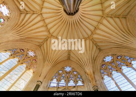 Il magnifico e storico soffitto a volta della Chapter House nella cattedrale di Wells, Somerset, Inghilterra, Regno Unito Foto Stock