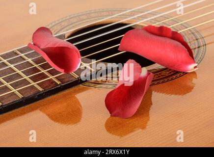 Primo piano della chitarra acustica con tre petali di rosa Foto Stock