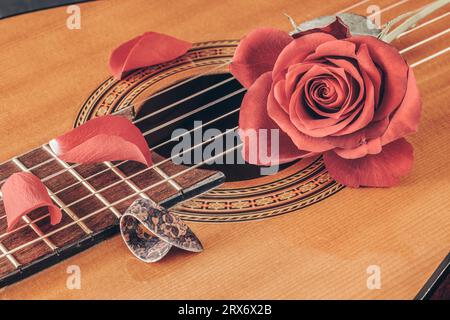 Primo piano della chitarra con rosa rossa e petali di rosa Foto Stock