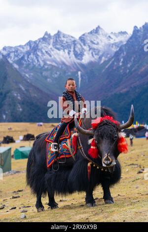 Cavalcare su uno yak Foto Stock