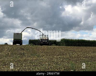 Bindlach, Germania. 23 settembre 2023. Le nuvole scure attraversano un campo di mais in fase di raccolta. Credito: Kathrin Zeilmann/dpa/Alamy Live News Foto Stock