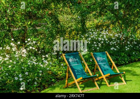 Due sedie a sdraio verdi su un prato con fiori di anemone cinesi bianchi e alberi frondosi sullo sfondo, RHS Garden, Harlow Carr, Harrogate, Regno Unito. Foto Stock