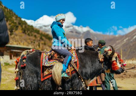 Cavalcare su uno yak Foto Stock