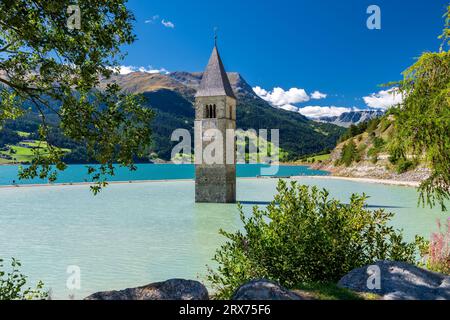 Famoso campanile affondato di Graun nel Lago di Resia in alto Adige, Italia Foto Stock