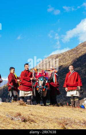 Yak festival in montagna Foto Stock