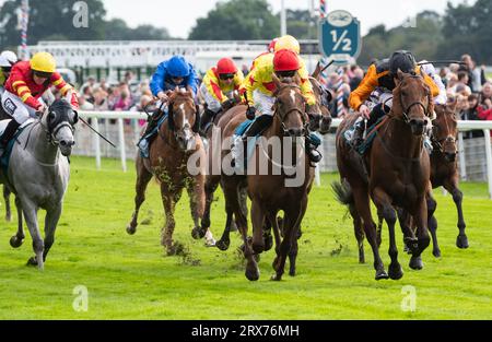 York Racecourse, York, Regno Unito, sabato 23 settembre 2023; Aphelios e il fantino Daniel Muscutt vincono il Jigsaw Sports Branding handicap all'Ippodromo di York per l'allenatore Michael Appleby e il proprietario degli Horse Watchers. Crediti: JTW equine Images/Alamy Live News Foto Stock