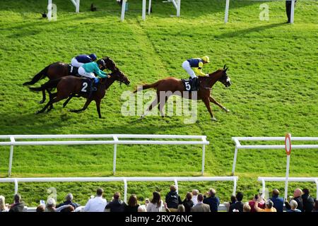 Newbury, Regno Unito. 23 settembre 2023. Pearle D'Or (cappello giallo), pilotato da James Doyle, vince il Conundrum Consulting handicap Stakes 16,25 al Newbury Racecourse, Regno Unito. Crediti: Paul Blake/Alamy Live News. Foto Stock