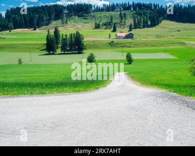 Paesaggio bavarese con un sentiero di ghiaia che conduce ad una fattoria di fronte ad un gruppo di colline con alberi di conifere. Foto Stock