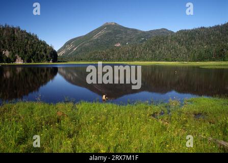 Monte Colden sopra Indeded Land, High Peaks Wilderness, Adirondack Forest Preserve, New York Foto Stock
