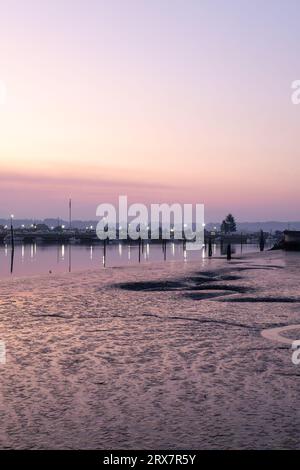 Snohomish River a Everett Washington all'alba Foto Stock