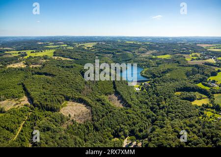 Vista aerea, diga di Hasper e muro di diga, area forestale, Haspe, Hagen, zona della Ruhr, Renania settentrionale-Vestfalia, Germania, DE, Dam, Ennepetal, Europa, Haspertalsper Foto Stock