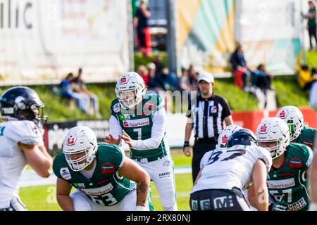Schwaebisch Hall Germania. 23 settembre 2023. Erima GFL / German Football League,Viertelfinal gioco: Schwäbisch Hall Unicorns - Berlin Rebels nell'Optima Sportpark di Schwaebisch Hall Germania il 23. 2023, Schwaebisch Hall Unicorns/ QB # 7 Ian Gehrke Credit: Frank Baumert/Alamy Live News Foto Stock
