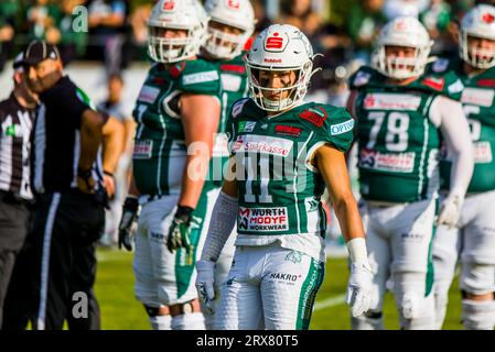 Schwaebisch Hall Germania. 23 settembre 2023. Erima GFL / German Football League,Viertelfinal gioco: Schwäbisch Hall Unicorns - Berlin Rebels nell'Optima Sportpark di Schwaebisch Hall Germania il 23. 2023, Schwaebisch Hall Unicorns/ WR # 11 Caleb Schweigart Credit: Frank Baumert/Alamy Live News Foto Stock