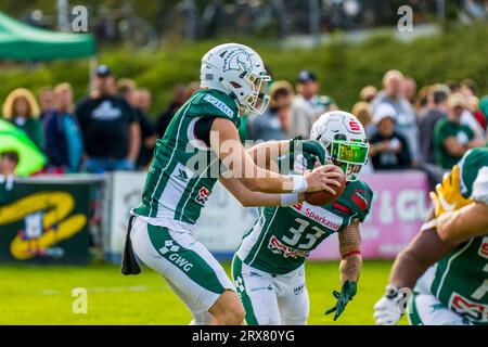 Schwaebisch Hall Germania. 23 settembre 2023. Erima GFL / German Football League,Viertelfinal gioco: Schwäbisch Hall Unicorns - Berlin Rebels nell'Optima Sportpark di Schwaebisch Hall Germania il 23. 2023, Schwaebisch Hall Unicorns Ballübergabe/ QB # 7 Ian Gehrke und RB # 33 Mike gentili Credit: Frank Baumert/Alamy Live News Foto Stock