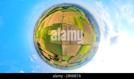 Vista aerea, paesaggio prati e campi vicino a Sönnern, forme e colori, raccolta, mietitrebbiatrice, mosaico di campi, globo, fisheye shot, 360 gradi s. Foto Stock