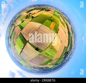 Vista aerea, paesaggio prati e campi vicino a Sönnern, forme e colori, raccolta, mietitrebbiatrice, mosaico di campi, globo, fisheye shot, 360 gradi s. Foto Stock