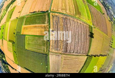 Vista aerea, paesaggio prati e campi vicino a Sönnern, forme e colori, raccolta, mietitrebbiatrice, mosaico di campi, globo, fisheye shot, 360 gradi s. Foto Stock