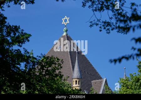 tetto con la stella di david della sinagoga di colonia a rathenauplatz Foto Stock