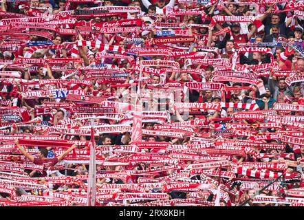 Monaco, Germania. 23 settembre 2023. I tifosi del FCB nella partita FC BAYERN MUENCHEN - VFL BOCHUM 7-0 il 23 settembre 2023 a Monaco di Baviera, Germania. Stagione 2023/2024, 1.Bundesliga, FCB, München, giorno 5, 5.Spieltag © Peter Schatz / Alamy Live News - LE NORMATIVE DFL VIETANO L'USO DI FOTOGRAFIE come SEQUENZE DI IMMAGINI e/o QUASI-VIDEO - credito: Peter Schatz/Alamy Live News Foto Stock